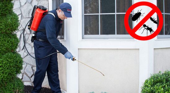 Germiyan Fare İlaçlama böcek ilaçlama ve haşere kontrolü — ilaclama-tr.com